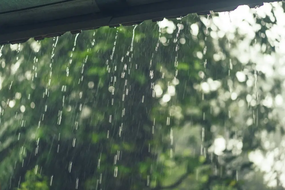 Why Rainwater Should Always Be Filtered in Sunshine Coast and Noosa Homes